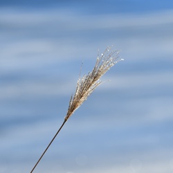 2026-01-08 Brandenburg an der Havel/Stadt/DSC_2256.JPG